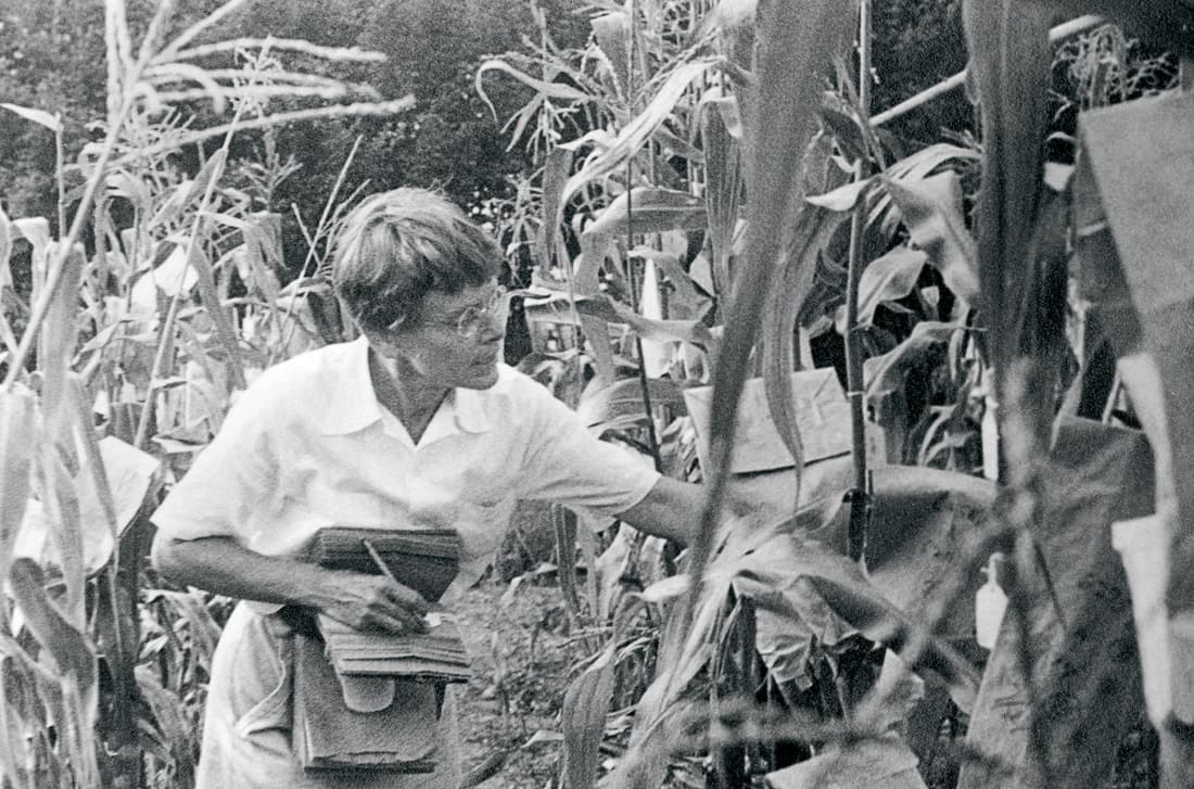 BARBARA MCCLINTOCK
