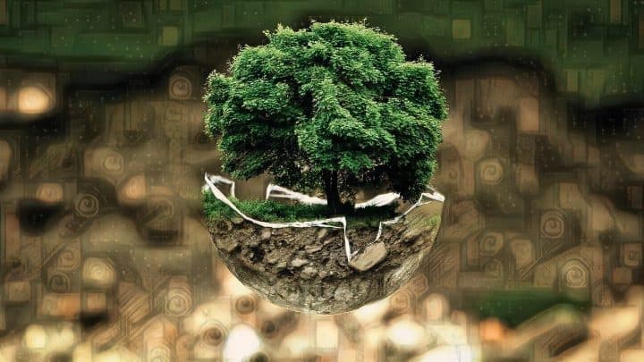 SIETE ACCIONES INDIVIDUALES PARA CONTRARRESTAR EL CAMBIO CLIMÁTICO