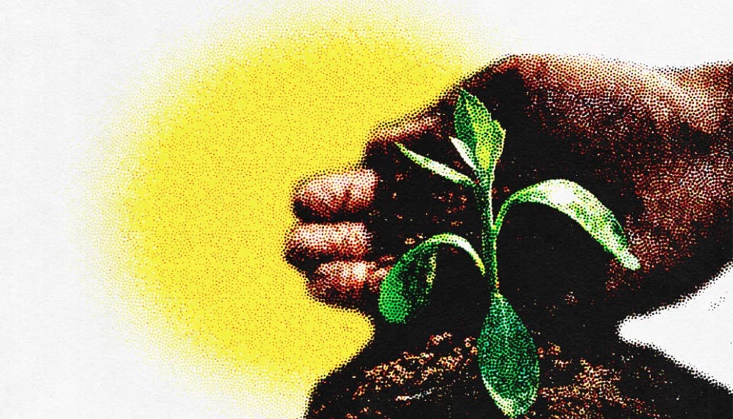 EL SONIDO Y LA FURIA DE LAS LEGUMBRES