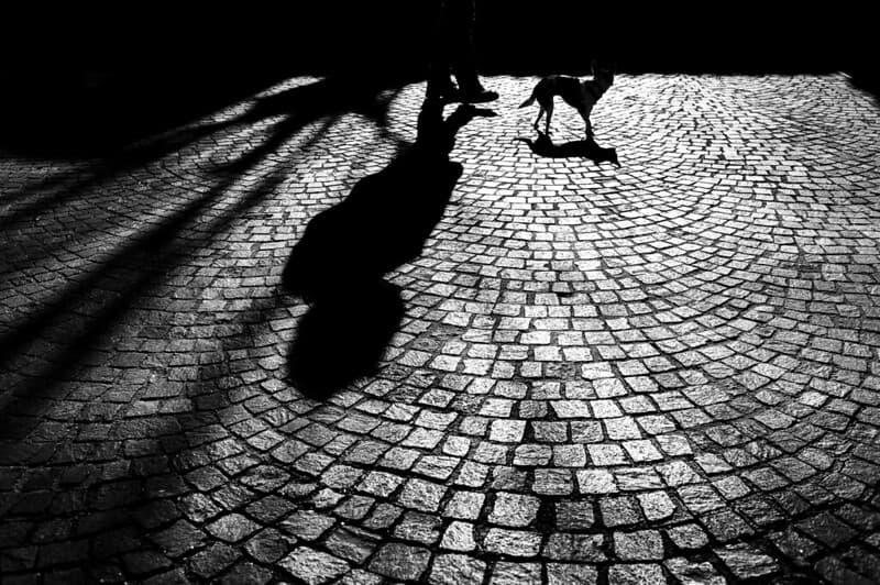 CRISIS, EL ESTADO INMUTABLE DEL HOMBRE