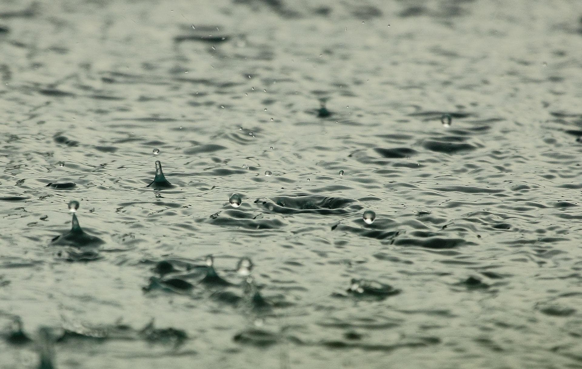 LLUVIA SERENA, SALVAJE Y ABUNDANTE