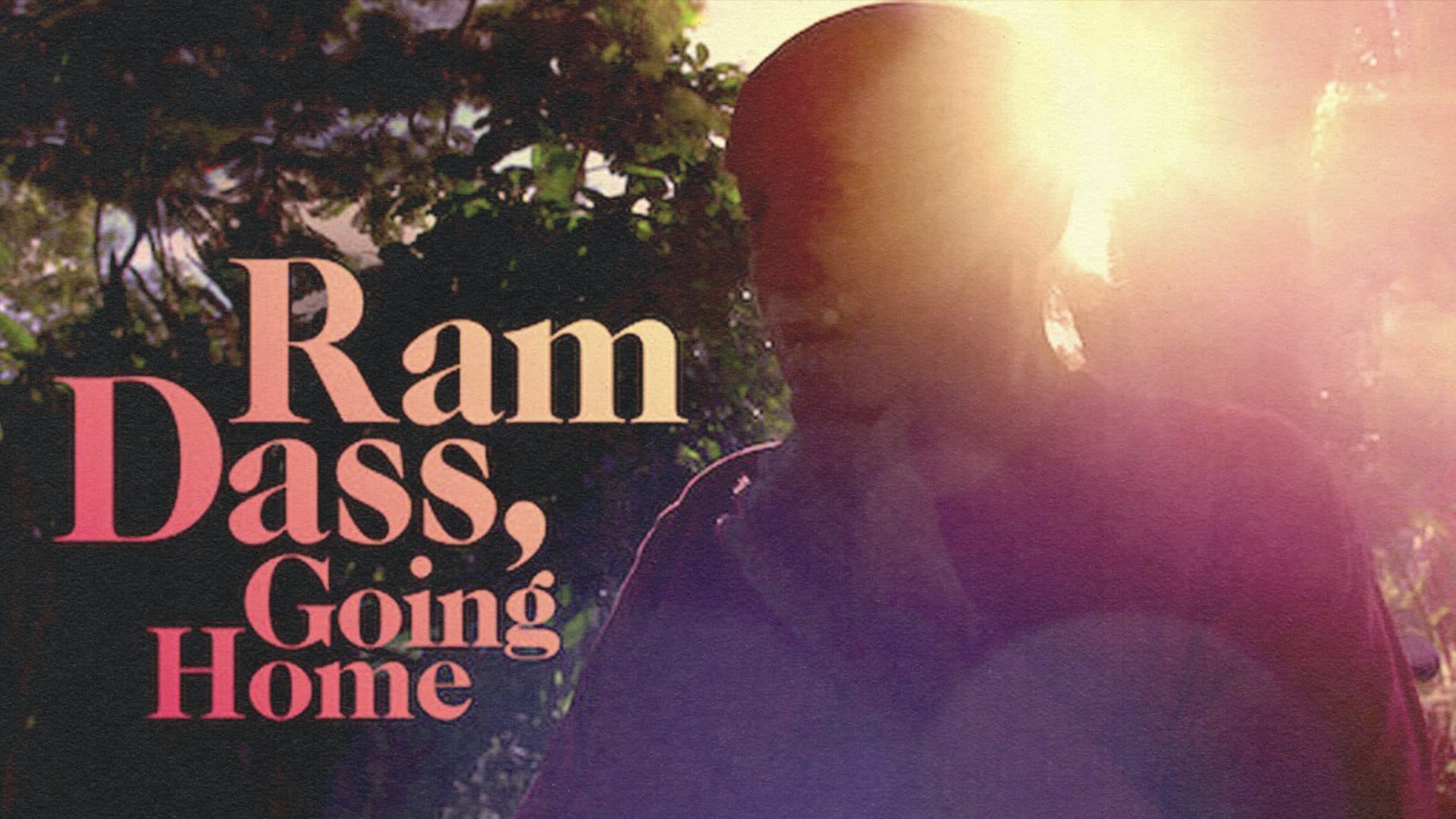 RAM DASS GOING HOME