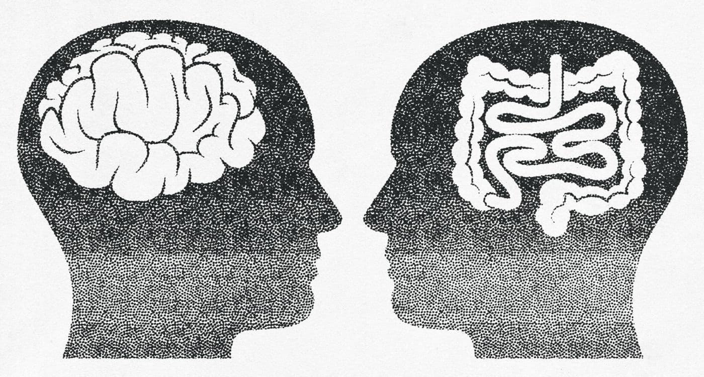 CUANDO HABLAMOS DEL SEGUNDO CEREBRO