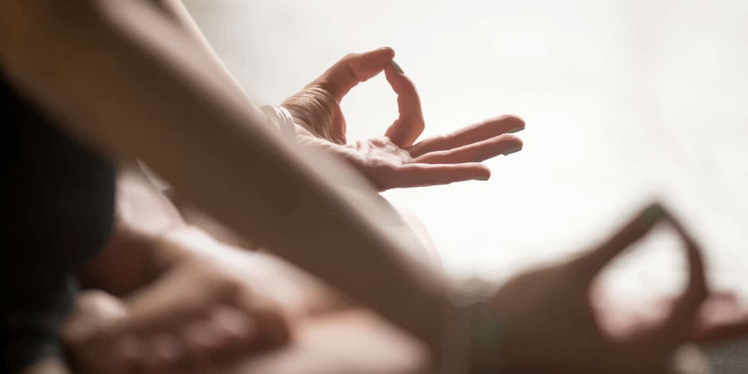 MEDITAR, ABRIR LAS PUERTAS, OBSERVAR Y ACTUAR