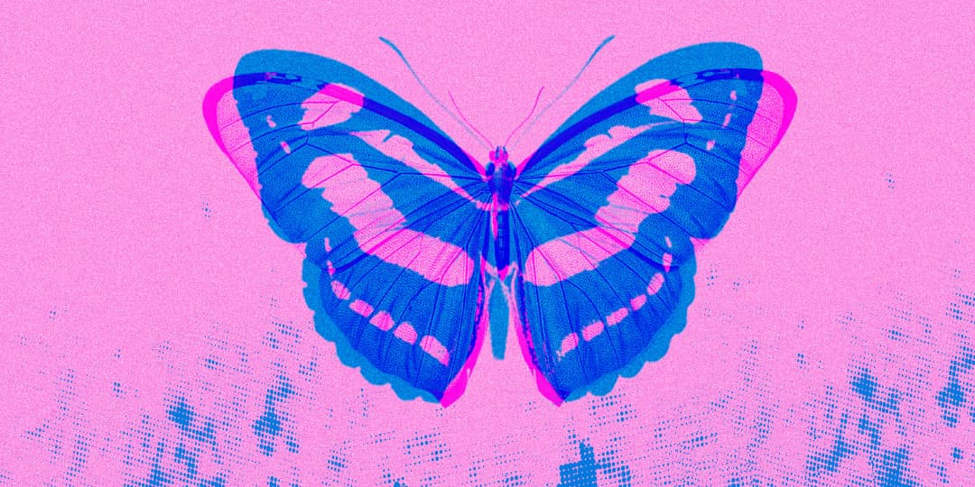 EL EFECTO MARIPOSA