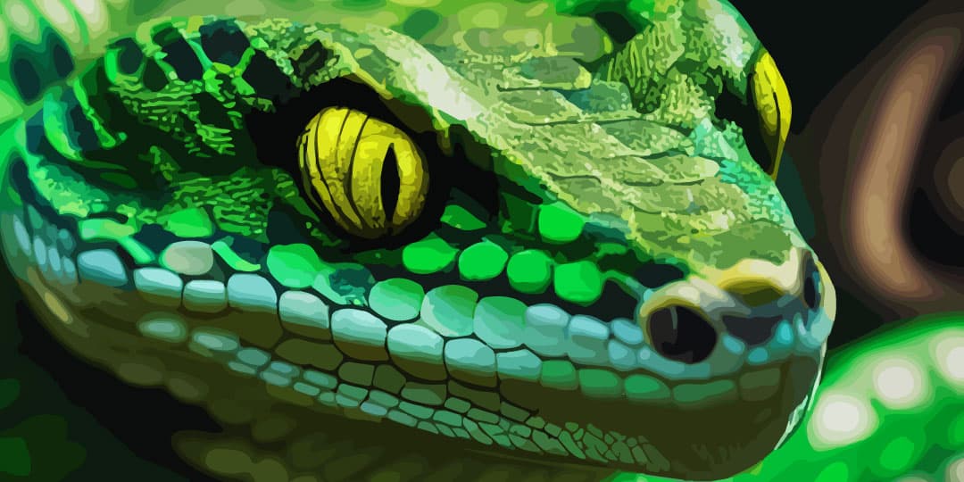 ¿QUÉ SIGNO HACES, OH SERPIENTE, CON TU REPTILIANO CUERPO?