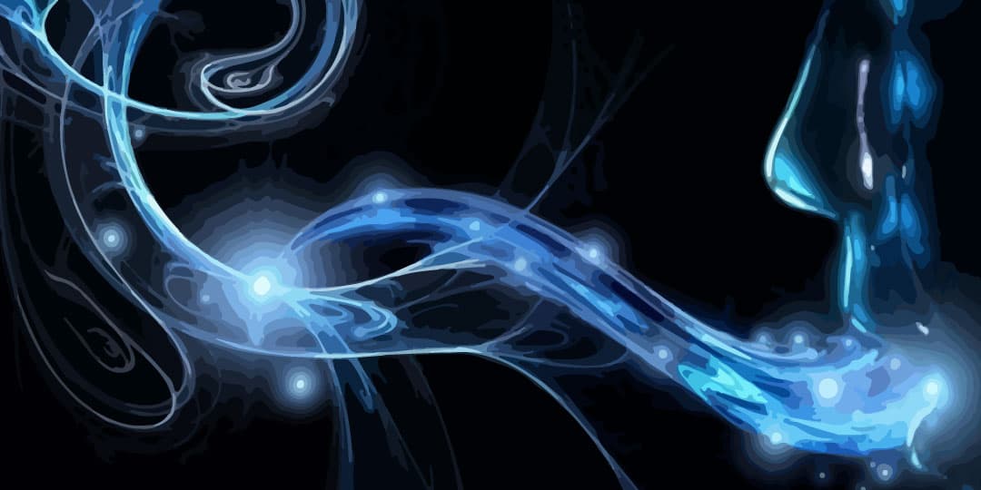 EL VERBO CREADOR Y CONSCIENTE