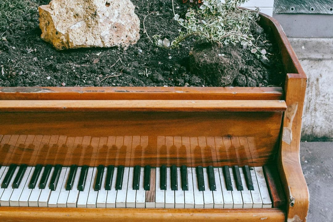 CARL JUNG Y LA MUSICOTERAPIA