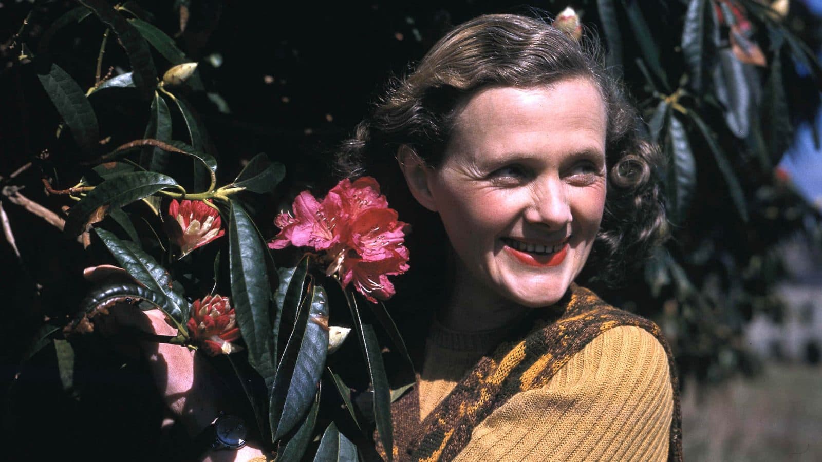 Los pájaros de Rebeca | Daphne du Maurier   (1907-1989)