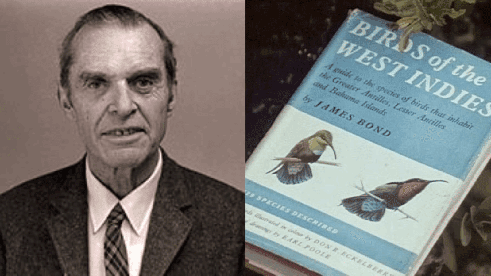 El espía de aves | James Bond (1900-1989)