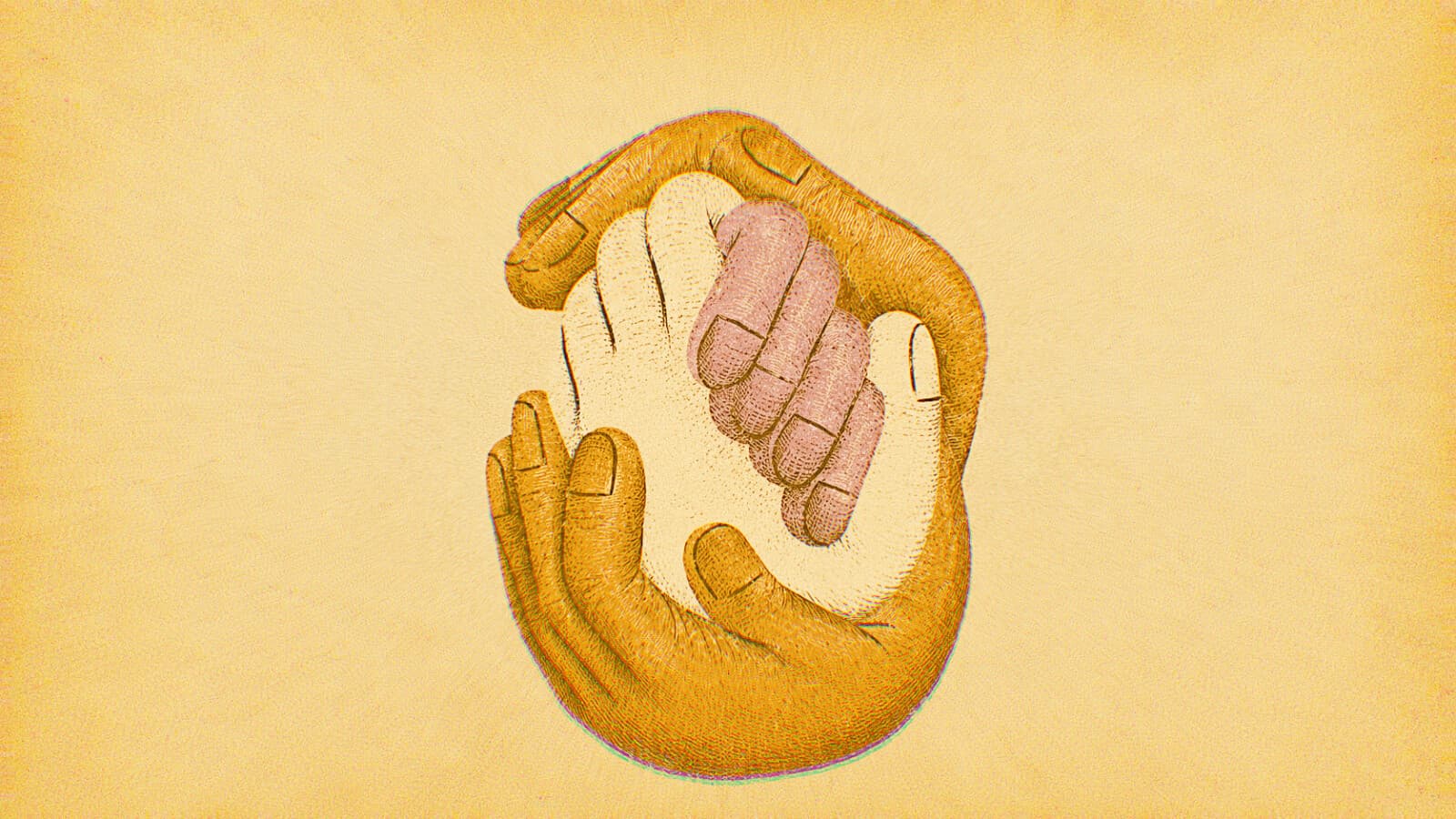 LA FIRMEZA DE LA SOLIDARIDAD