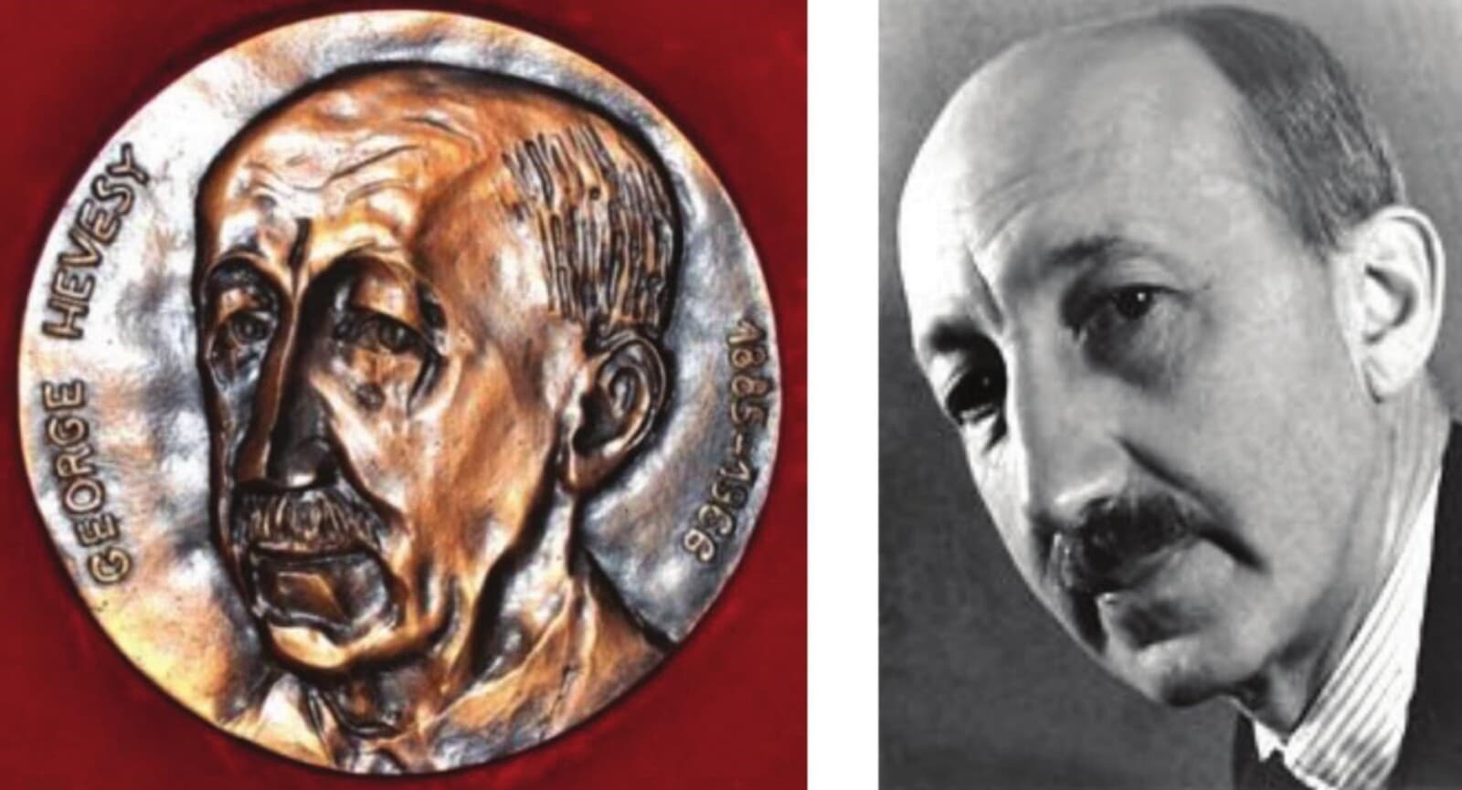Físico radiactivo | George Hevesy    (1885-1966)
