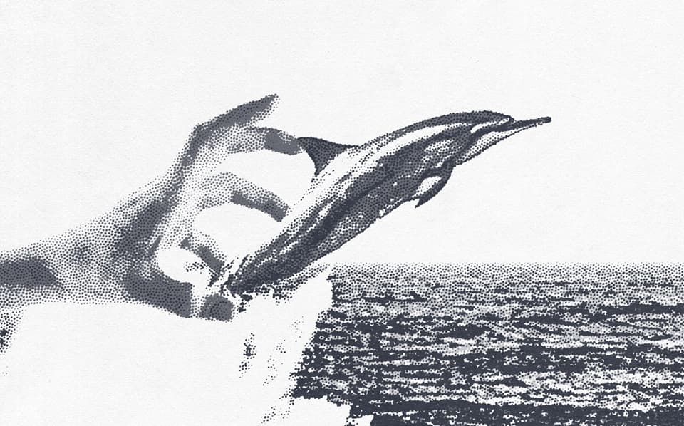 INCONSCIENCIA HUMANA Y MUERTE DE LOS DELFINES