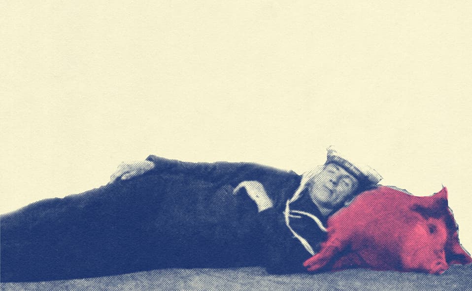 EL SOPORTE EMOCIONAL DEL ALMA ANIMAL