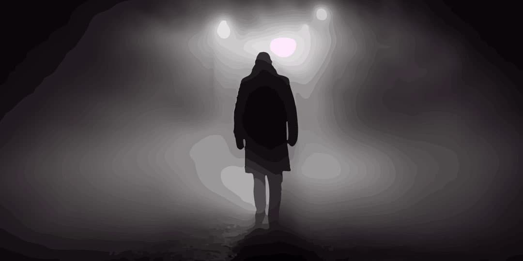 EL EQUIPAJE DE SOMBRAS QUE NEGAMOS