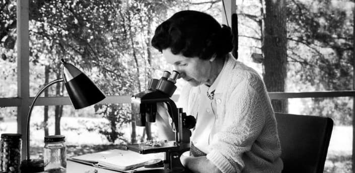 Conciencia ambiental | Rachel Carson (1907-1964)