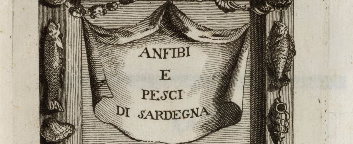 Ciencia natural jesuita | Francesco Cetti (1726-1778)