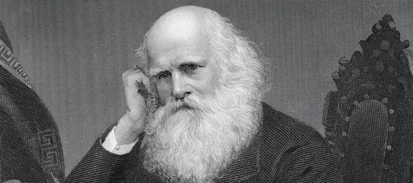 Poeta y periodista | William Cullen Bryant (1794-1878)
